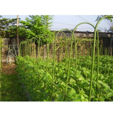 TAKIRON ACRE PIPE 11MM X 1500MM GREEN