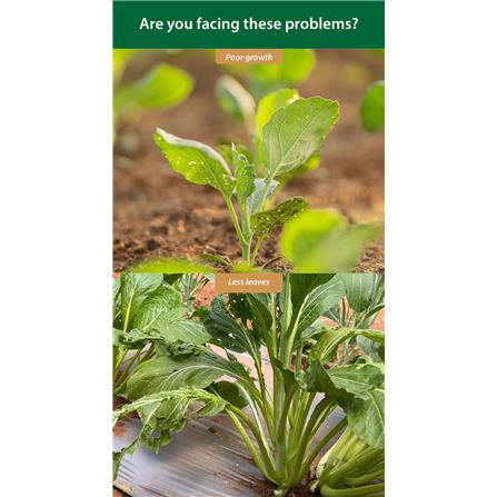 MR GANICK 532 ORGANIC LEAFY FERTILIZER (400GM)