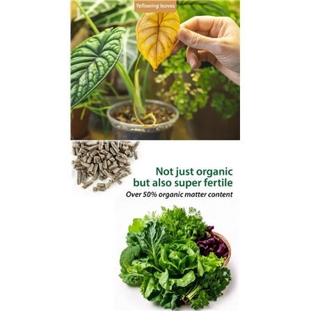 MR GANICK 532 ORGANIC LEAFY FERTILIZER (400GM)