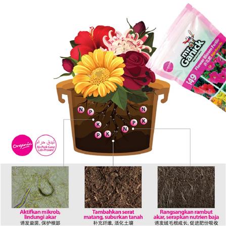 MR GANICK 549 ORGANIC FLOWER BLOOM AND STEM FERTILIZER (400GM)