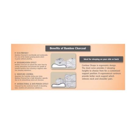 JEAN PERRY HEALTHY PILLOW BAMBOO CHARCOAL CONTOUR MEMORY 60X40 WHITE