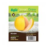 BABA VE-054 GOLDEN MELON