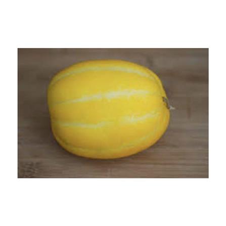 BABA VE-054 GOLDEN MELON
