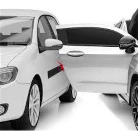 COMPACT DOOR GUARD XTCDG XTEAM  (RED-BLACK)