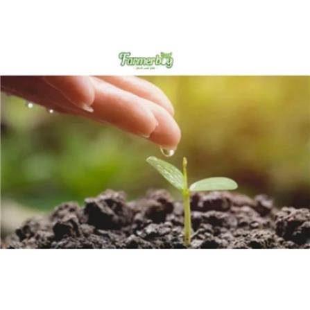 BABA VE-065 SPECIAL CELTUCE