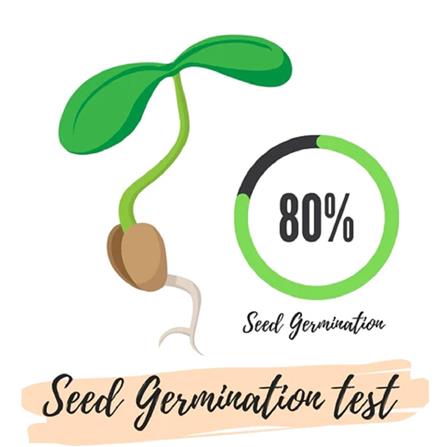 BABA PAPAYA SEED VE-061