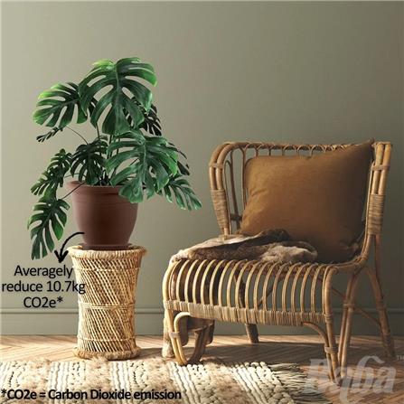 BABA BIODEGRADABLE ELEGANT SERIES FLOWER POT EG-310 ZEN GREY