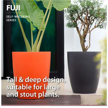 BABA POT BI-EP-380 (FUJI) BRONZE