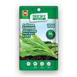 TRIO SEEDIY CELTUCE TROPICAL SEED