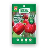 TRIO SEEDIY CAPSICUM RED SEED