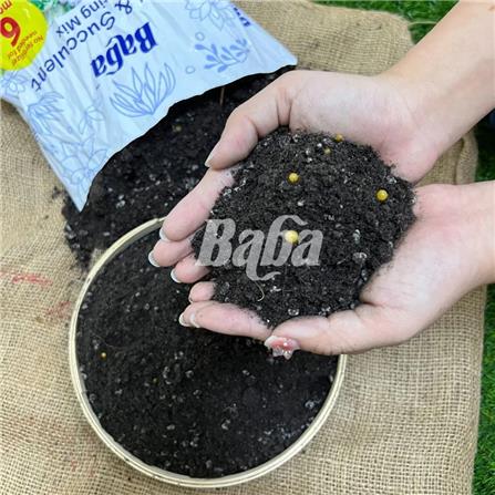 BABA CACTI & SUCCULENT POTTING MIX 7L