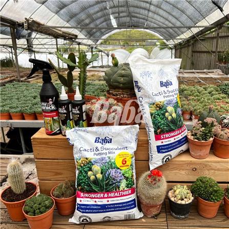 BABA CACTI & SUCCULENT POTTING MIX 7L