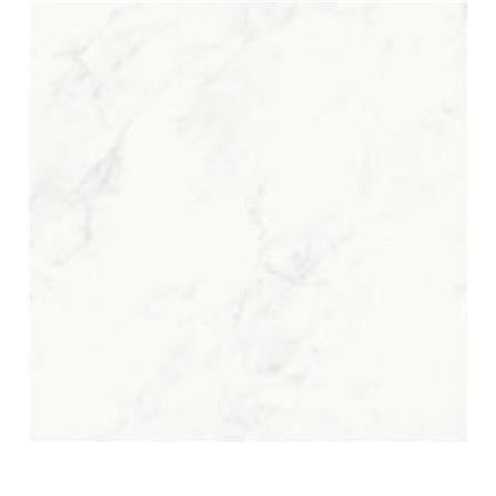 WHITE HORSE FLOORTILE 40X40CM CARRARA WHITE C40071 1.28M2