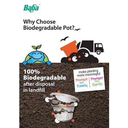 BABA BIO POT NB-280 POT MORANDI GREEN