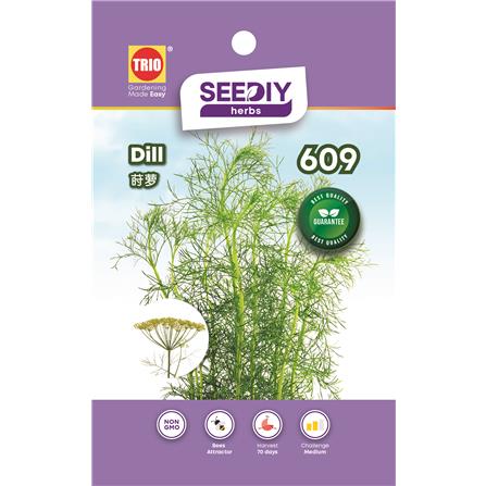 TRIO SY HERBS DILL 609