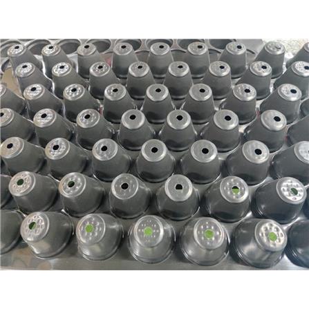 SEEDLING TRAY 60-CELL BLACK