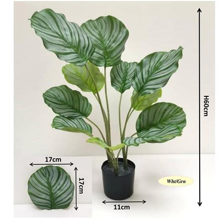 FAH LEAN ARTIFICIAL PLANT PEACOCK T5004  60CM