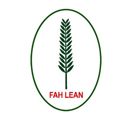 FAH LEAN FLOWER BUSH H35cm ARTIFICIAL FLOWER POT