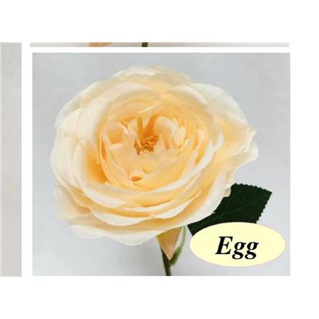 FAH LEAN SPRAY FLOWER CAMELLIA ROSE 2828  65CM ARTIFICIAL FLOWER (STEMS)