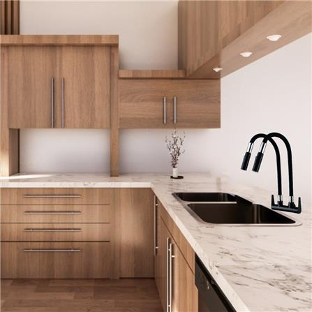 LIVINOX SINK FAUCET LT BK232DF-BLACK