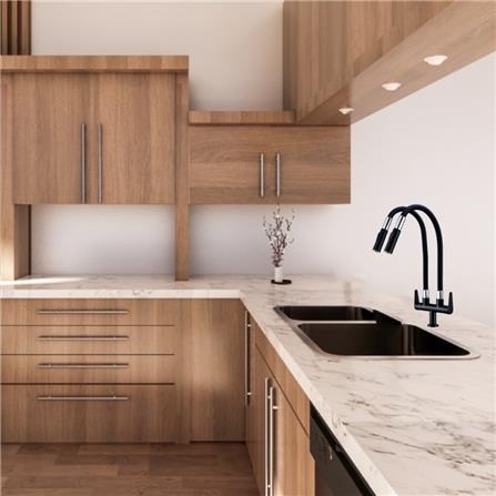 LIVINOX SINK FAUCET LT BK132DF-BLACK