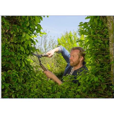 Hedge Clippers NatureCut 12300-20