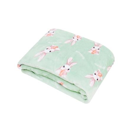 HLS BLANKET ROBIN GREEN 50X60