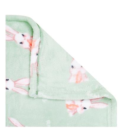 HLS BLANKET ROBIN GREEN 50X60
