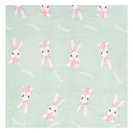 HLS BLANKET ROBIN GREEN 50X60