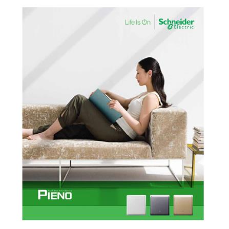 PIENO 13A 1 GANG SWITCH SOCKET W/USB WG SCHNEIDER