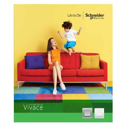 VIVACE TWIN GANG BLANK PLATE WE SCHNEIDER