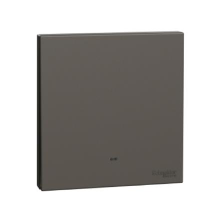 AVATARONC 1 GANG 2 WAY SWITCH DG SCHNEIDER