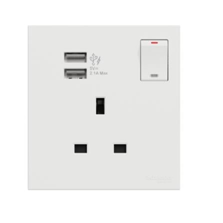 AVATARONC 13A SWITCH SOCKET W/USB WE SCHNEIDER
