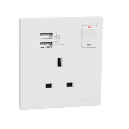 AVATARONC 13A SWITCH SOCKET W/USB WE SCHNEIDER