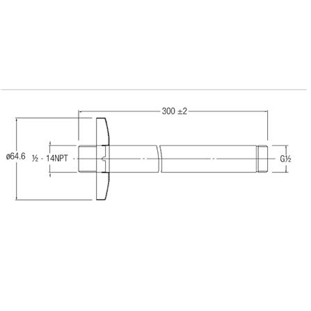 JOHNSON SUISSE CEILING SHOWER ARM AND FLANGE, LENGTH: 300MM WBFA300580CP