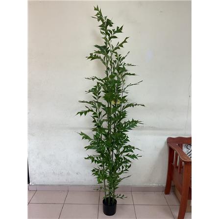 FL ART PLANT PLASTIC FISHTAIL FERN TR 210CM