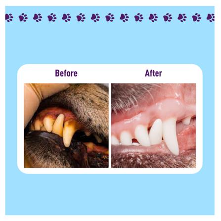 BIO-D PAWPAL PET DENTAL CARE WATER ADDITIVE SOLUTION 500ML