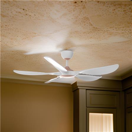 RUBINE CEILING FAN AEROX 5BLADE CHAMPAGNE MATTE WHITE 56INCH
