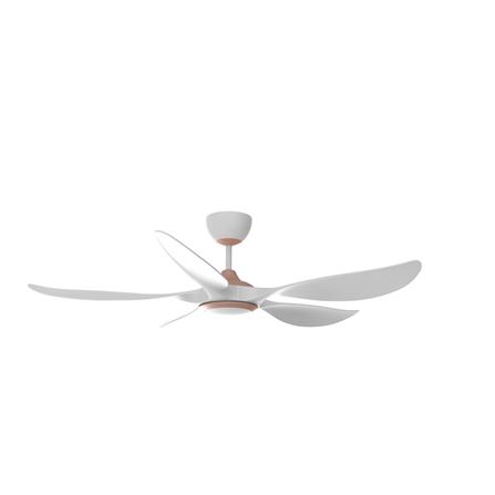 RUBINE CEILING FAN AEROX 5BLADE LED CHAMPAGNE MATTE WHITE 56INCH