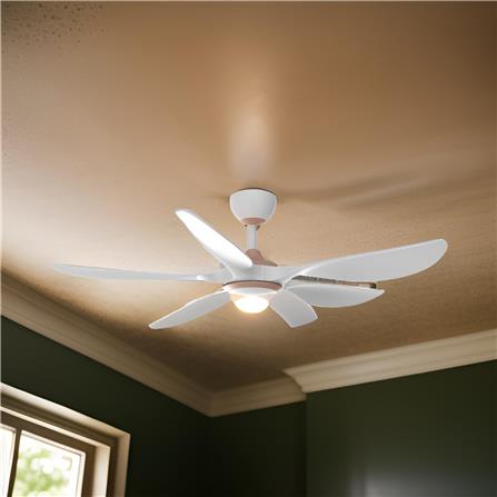 RUBINE CEILING FAN AEROX 5BLADE LED CHAMPAGNE MATTE WHITE 56INCH