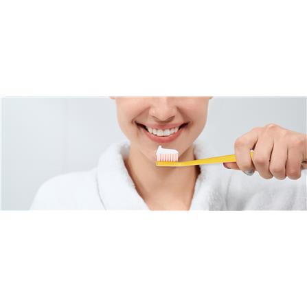 FLIPPER TWIGO TOOTHBRUSH F28803-00 ROSE GOLD/ GARMET RED