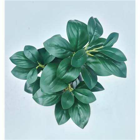 CL BEAN LEAVES POTTED PLANT GP506