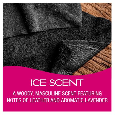 CALIFORNIA SPILLPROOF FRESHNER ICE 42G