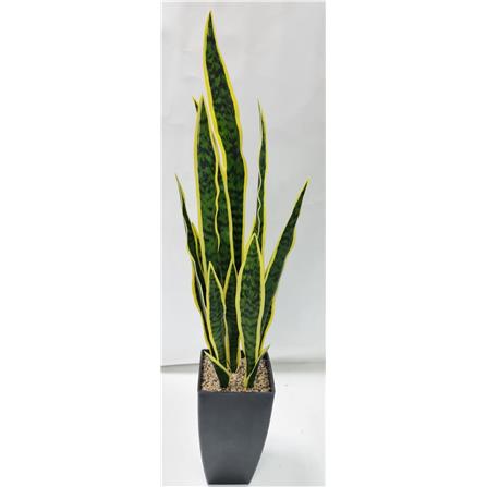 CL SNAKE  POTTED PLANT GP523