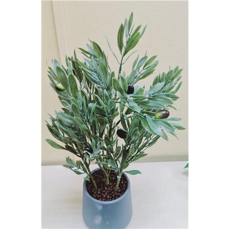 CL OLIVE POTTED PLANT GP511