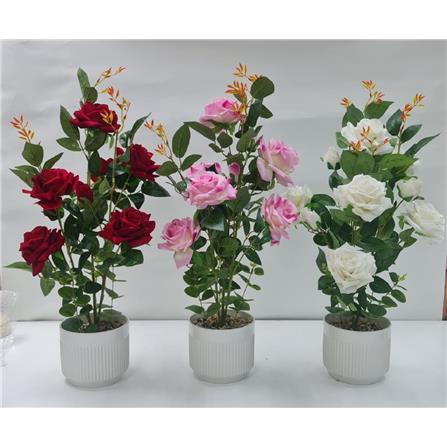 CL ROSE POTTED FLOWER GF300