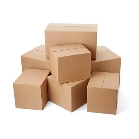 HP CARTON BOX 25X17X18CM SINGLE LAYER BROWN BOX #1