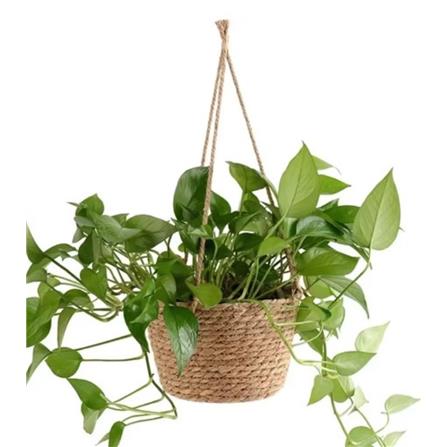 CL WOVEN BSKT HANGING POT GQ210-PC H20CM