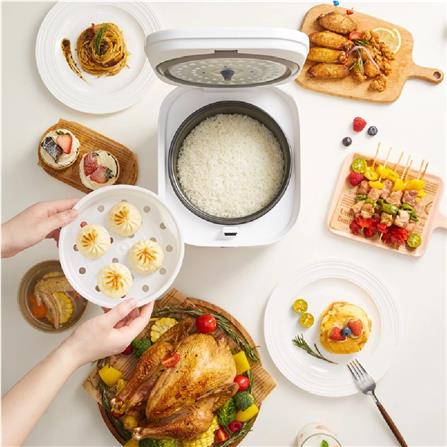 GAABOR MICROCOMPUTER RICE COOKER GR-S25D 400W 2L