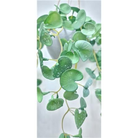 CL ARTIFICIAL HANGING VINE COPPERMONEY GRASS GP722 33CM